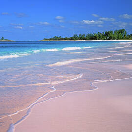 Bahamas, Governor's Harbor Beach by Gunter Grafenhain