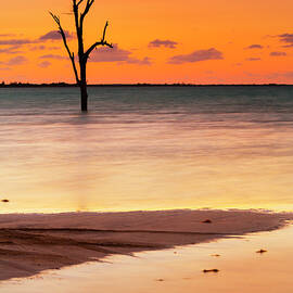Bahamas, Harbor Island, Caribbean Sea, Atlantic Ocean, Caribbean by Pietro Canali