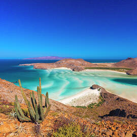 Balandra Beach, La Paz, Mexico by Olimpio Fantuz