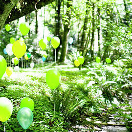 Balloons In A Forest 3 by Todd Pearson