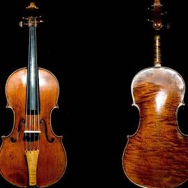 Baroque Viola by Victor Gil Gazapo