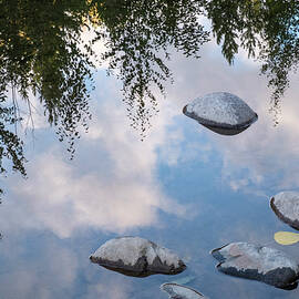 Be the Stillness by Mary Lee Dereske