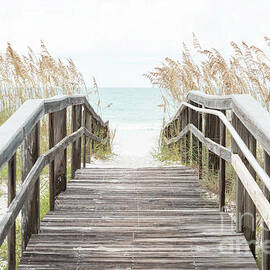 Beach Boardwalk and Sea Oats Grass Pensacola Florida Photo by Paul Velgos