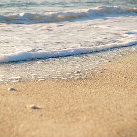 Beach Shorline by Joe Leone