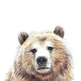 Bear by Anna Abramskaya
