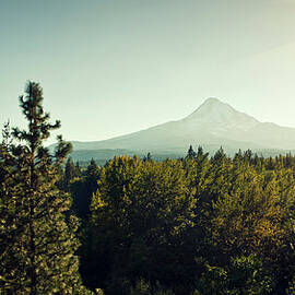 Beautiful Oregon Scenery by Kativ