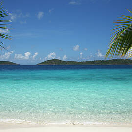 Beautiful Tropical Scene At A  Beach In by Cdwheatley