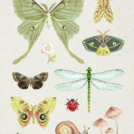 Beauty Of The Forest Iii by Danhui Nai