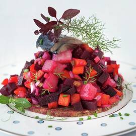 Beet Salad With Fish by Strokin, Yelena