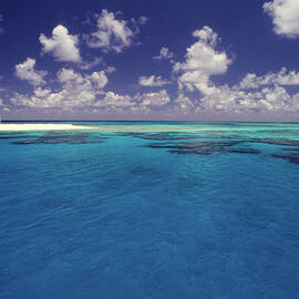 Big Blue Lagoon by Tammy616