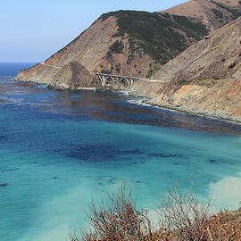 Big Sur Coastline by Alan Vernon