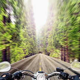 Biker Riding Road In Forest Personal by Caroline Purser