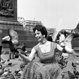 Bird In The Hand by Bert Hardy