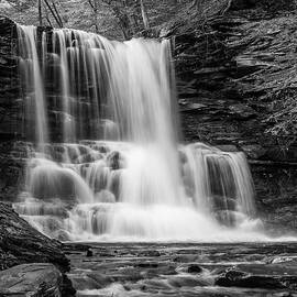 Black and White Photo of Sheldon Reynolds Waterfalls by Louis Dallara