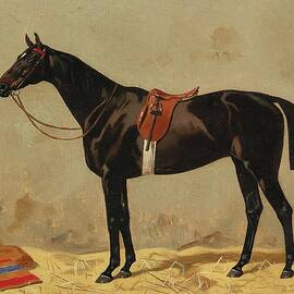 Black Horse In The Stable by Emil Volkers