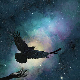 Blackbird Singing In The Dead Of Night by Nikki Marie Smith