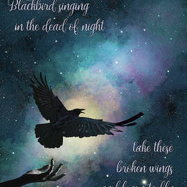 Blackbird Singing With Lyrics by Nikki Marie Smith