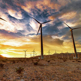 Blowing In The Wind by John B. Mueller Photography