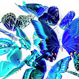 Blue buggery  by Jorgo Photography