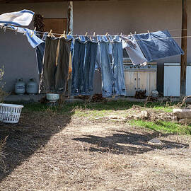 Blue Jeans Clothesline by Mary Lee Dereske