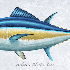 Bluefin Tuna Portrait by Guy Crittenden