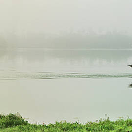 Boat On Perfume River, Vietnam by Luigi Vaccarella