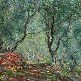 Bois Doliviers Au Jardin Moreno by Claude Monet
