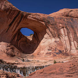 Bowtie Arch by Dan Norris
