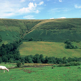 Brecon Beacons hillside by Seeables Visual Arts