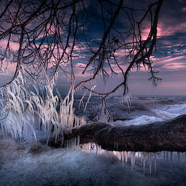 Bronte on Ice