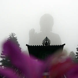 Buddha Statue by Uwe Niehuus