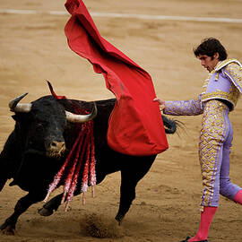 Bullfights In Barcelona 2011 Julian by David Ramos
