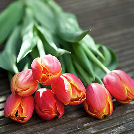 Bunch Of Tulips Tulipa, Elevated View by Westend61