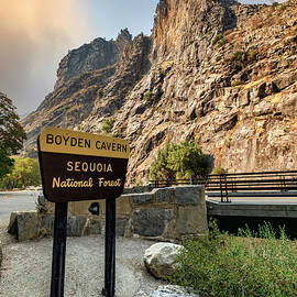 California, Sequoia National Forest, Boyden Cavern by Claudia Uripos