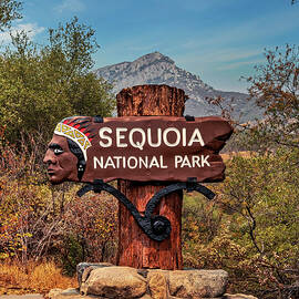 California, Sequoia National Park, Sign by Claudia Uripos