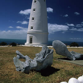 Cape Willoughby Lighthouse, Whale Bones In The Foreground, Kangaroo Island, South Australia, Australia by Don Fuchs
