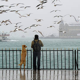 Care by Ibrahim Canakci