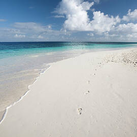 Caribbean White Sand Beach by Stevegeer
