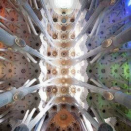 Ceiling At Sagrada Familia, Spain by Anna Serrano