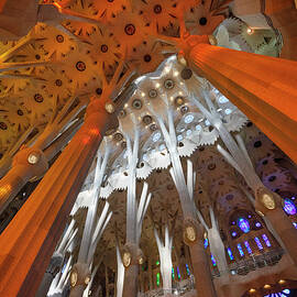 Ceiling At Sagrada Familia, Spain by Joanne Montenegro