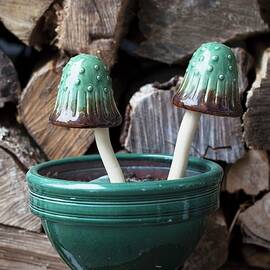 Ceramic Mushroom Garden Decor by Yelena Strokin