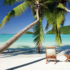 Chairs Under Palm Trees At A Beach In by Cdwheatley