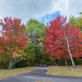 Changing of Color by Joe Leone