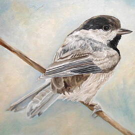 Cherubic Black-capped Chickadee by Angeles M Pomata