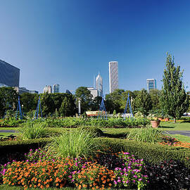 Chicago From Grant Park by Stevegeer