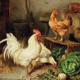 Chickens And Cockerel In A Barn by Edgar Hunt