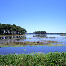 Chincotengue National Wildlife Refuge by James P. Blair