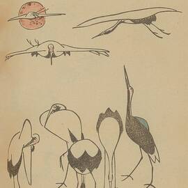 Choju Ryakugashiki, Pl.31 by Masayoshi Kitao