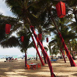 Christmas Decorations, Playa Cabarete by Walter Bibikow