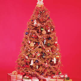 Christmas Tree And Gifts by H. Armstrong Roberts